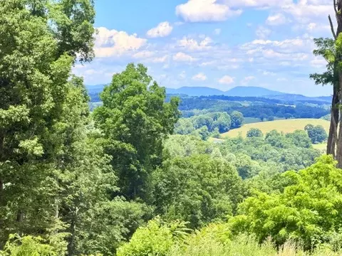 tbd Cox Rd, Jefferson, NC 28640 photo 5
