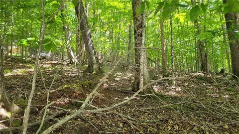 215 Overbrook Trl, Beech Mountain, NC 28604 photo 6