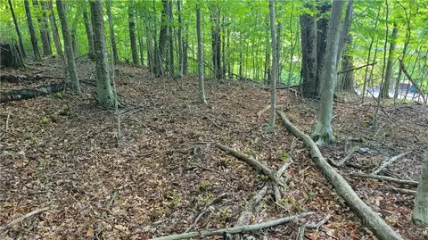 215 Overbrook Trl, Beech Mountain, NC 28604 photo 2