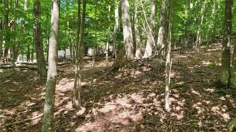215 Overbrook Trl, Beech Mountain, NC 28604 photo 9