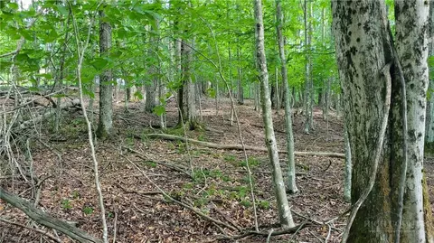 215 Overbrook Trl, Beech Mountain, NC 28604