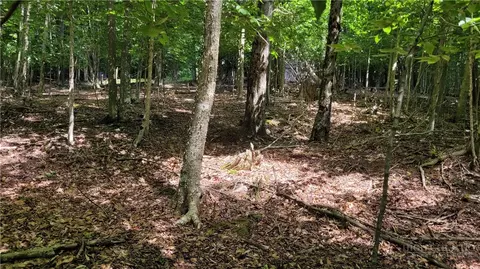 215 Overbrook Trl, Beech Mountain, NC 28604 photo 5