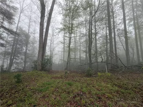 lot115 R Autumn Blaze Trl, Blowing Rock, NC 28605