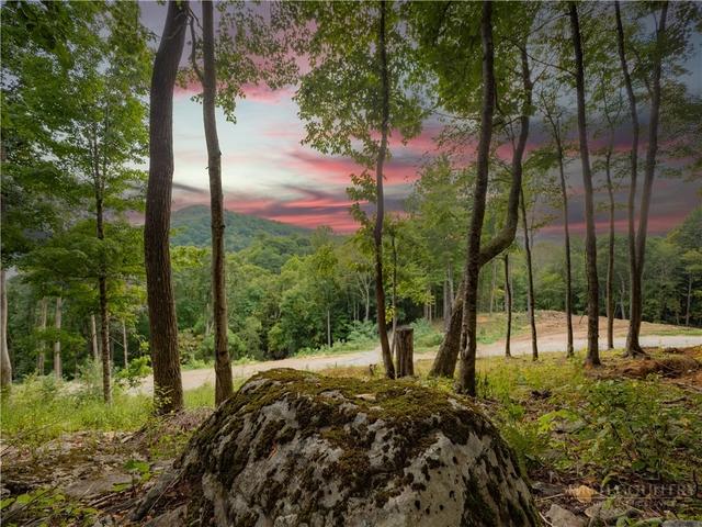 C120 Springwater Lane, Banner Elk, NC 28604