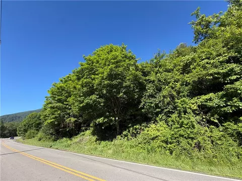 tbd W Crestview Dr, Creston, NC 28615 photo 4