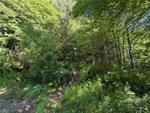 tbd W Crestview Dr, Creston, NC 28615 photo 5