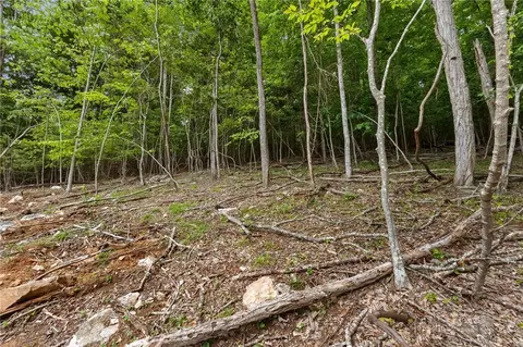 tbd Lot 9 Arborway Dr, Todd, NC 28684 photo 10