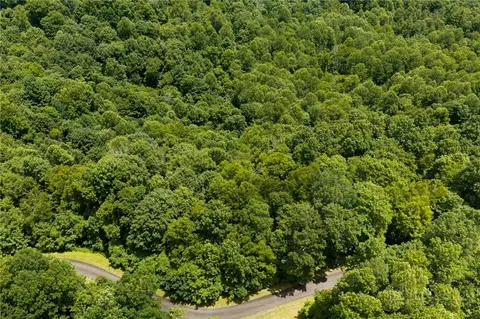 tbd Lot 9 Arborway Dr, Todd, NC 28684 photo 20