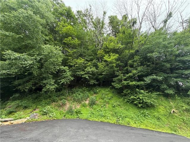 tbd Johns Mountain Rd, Vilas, NC 28692