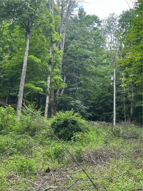 tbd Chestnut Grove Rd, Boone, NC 28607