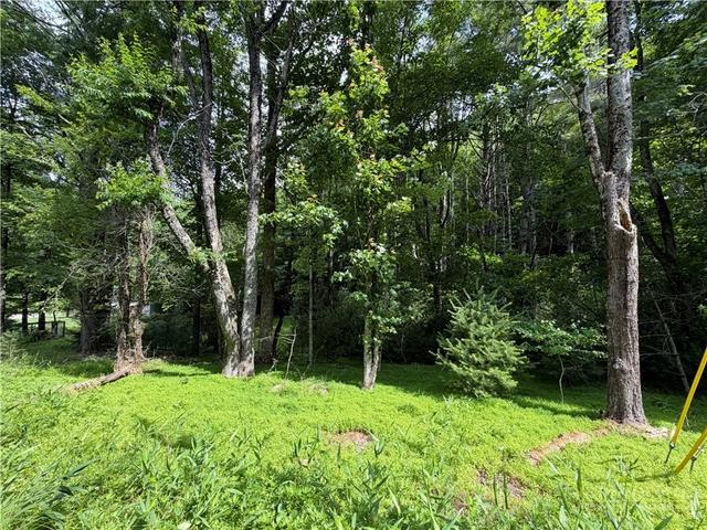 tbd Kirkwood Heath Rd, Boone, NC 28607