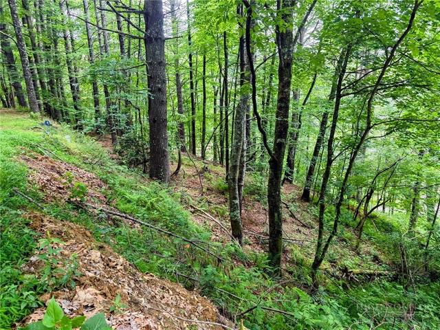 tbd New River Farms Rd, Fleetwood, NC 28626