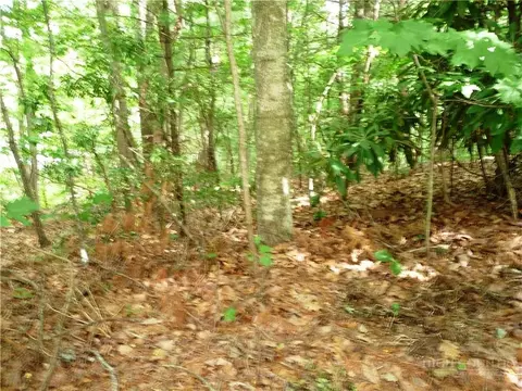 360 Kenmure Dr, Hendersonville, NC 28731