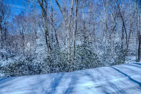 252 Greenbriar Rd, Beech Mountain, NC 28604 photo 8