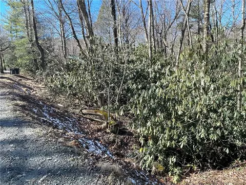 252 Greenbriar Rd, Beech Mountain, NC 28604 photo 6
