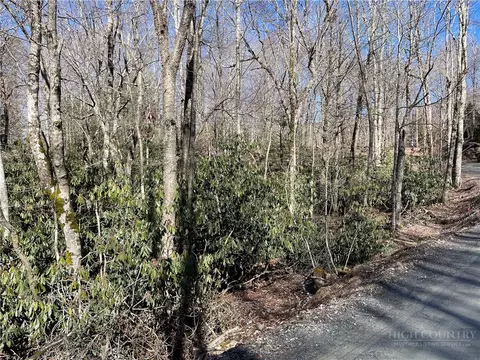 252 Greenbriar Rd, Beech Mountain, NC 28604 photo 4