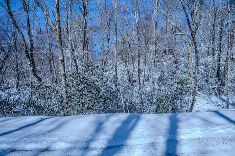 252 Greenbriar Rd, Beech Mountain, NC 28604 photo 9