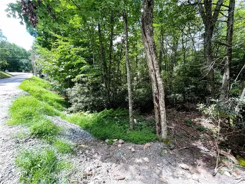 252 Greenbriar Rd, Beech Mountain, NC 28604 photo 2
