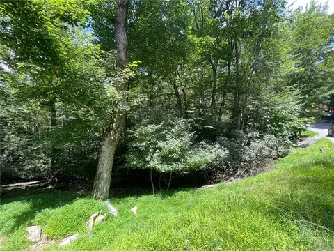 252 Greenbriar Rd, Beech Mountain, NC 28604