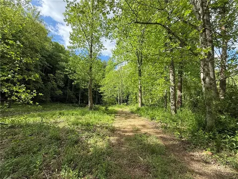 tbd Elk Creek Rd, Deep Gap, NC 28618 photo 37