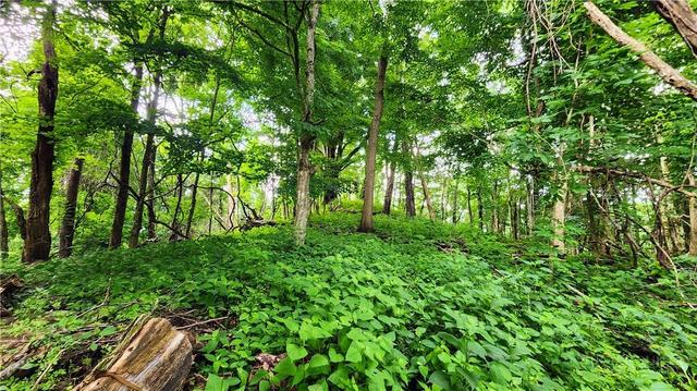 tbd Beech Mountain Rd, Elk Park, NC 28622