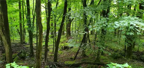 lot81 Throncliff Dr, Seven Devils, NC 28607 photo 3
