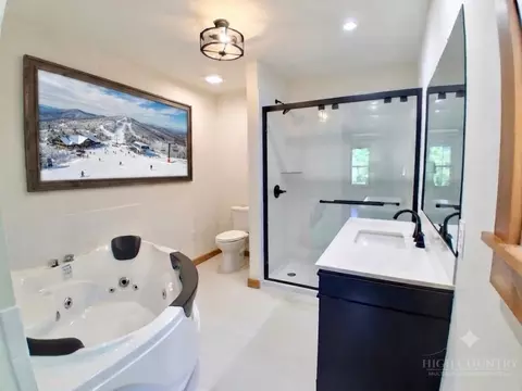 Bath - 102 Snowplow Ln, Beech Mountain, NC 28604 photo 3 of 5