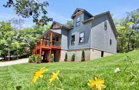 Other - 102 Snowplow Ln, Beech Mountain, NC 28604 photo 1 of 10