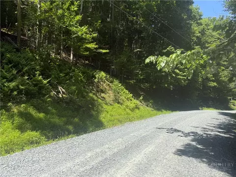 200 Wild Daisy Rd, Beech Mountain, NC 28604 photo 7
