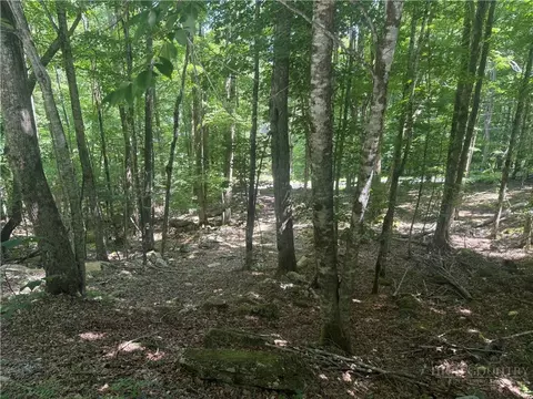 200 Wild Daisy Rd, Beech Mountain, NC 28604 photo 5