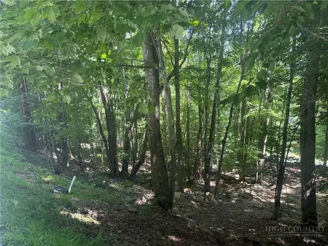 200 Wild Daisy Rd, Beech Mountain, NC 28604 photo 6