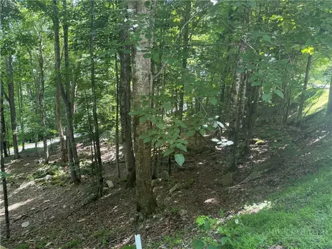 200 Wild Daisy Rd, Beech Mountain, NC 28604 photo 2