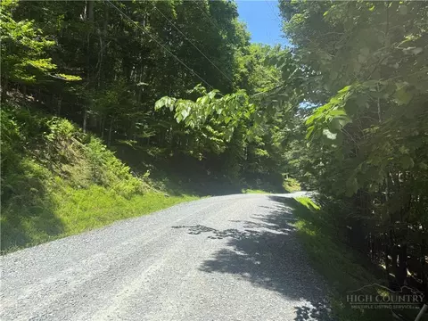 200 Wild Daisy Rd, Beech Mountain, NC 28604 photo 3
