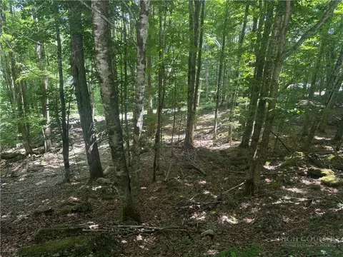 200 Wild Daisy Rd, Beech Mountain, NC 28604 photo 9