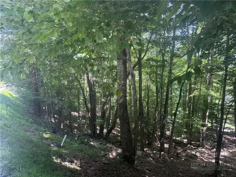 200 Wild Daisy Rd, Beech Mountain, NC 28604 photo 10