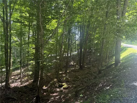 200 Wild Daisy Rd, Beech Mountain, NC 28604 photo 8