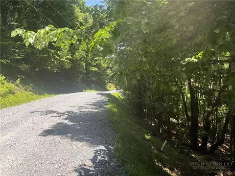 200 Wild Daisy Rd, Beech Mountain, NC 28604 photo 11