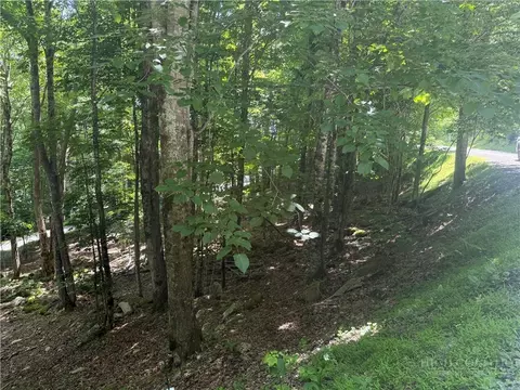 200 Wild Daisy Rd, Beech Mountain, NC 28604 photo 1