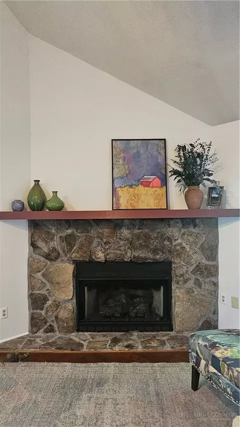 Living - 159 Easy St, Boone, NC 28607 photo 2 of 2