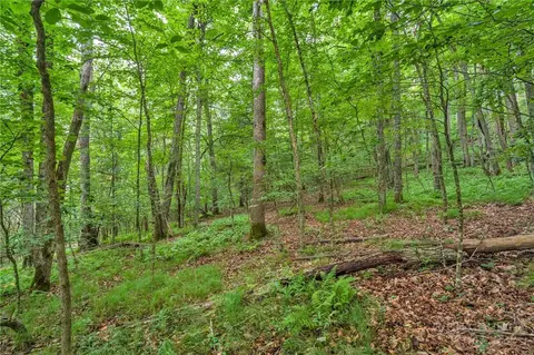 tbd Junaluska, Boone, NC 28607 photo 15