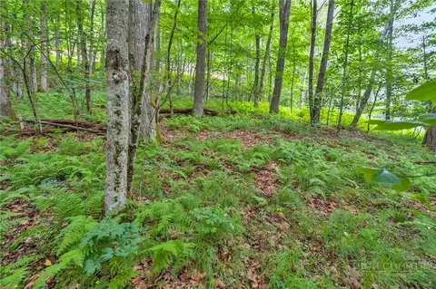 tbd Junaluska, Boone, NC 28607 photo 6