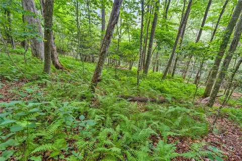 tbd Junaluska, Boone, NC 28607 photo 5