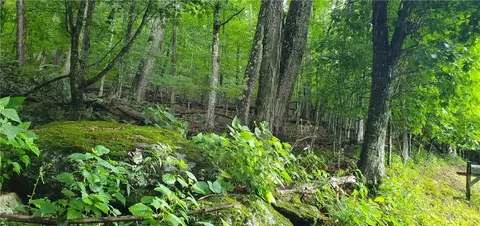 lot87 Thorncliff Dr, Seven Devils, NC 28607 photo 3