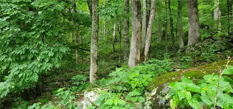lot87 Thorncliff Dr, Seven Devils, NC 28607 photo 2