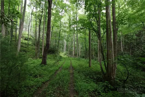 tbd Blowing Rock Rd, Lenoir, NC 28645