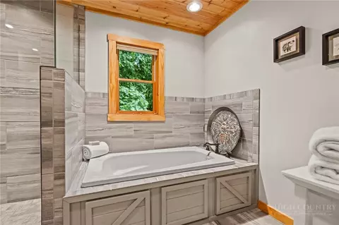 Bath - 374 Tinys Mountain Dr, Deep Gap, NC 28618 photo 2 of 6