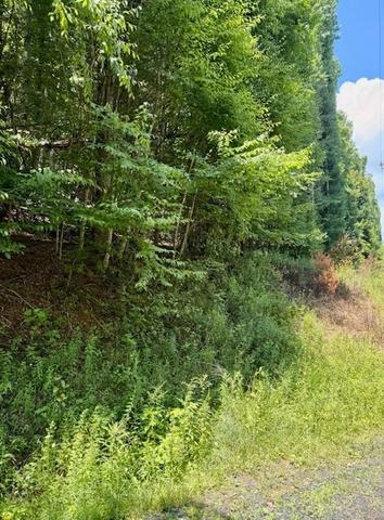 tbd Chestnut Creek Rd, West Jefferson, NC 28694
