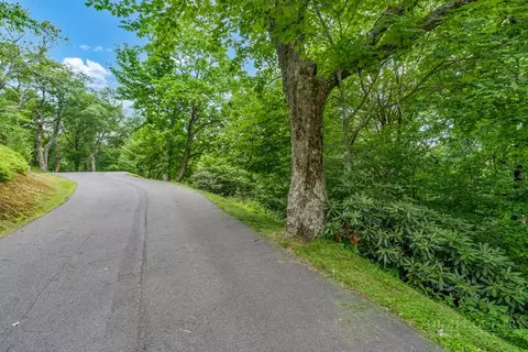 lot220 Tbd Stack Rock Way, Blowing Rock, NC 28605