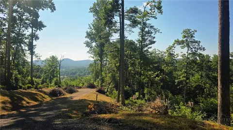 lot122 Pine Tree Dr, Spruce Pine, NC 28777 photo 8