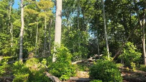 lot122 Pine Tree Dr, Spruce Pine, NC 28777 photo 2